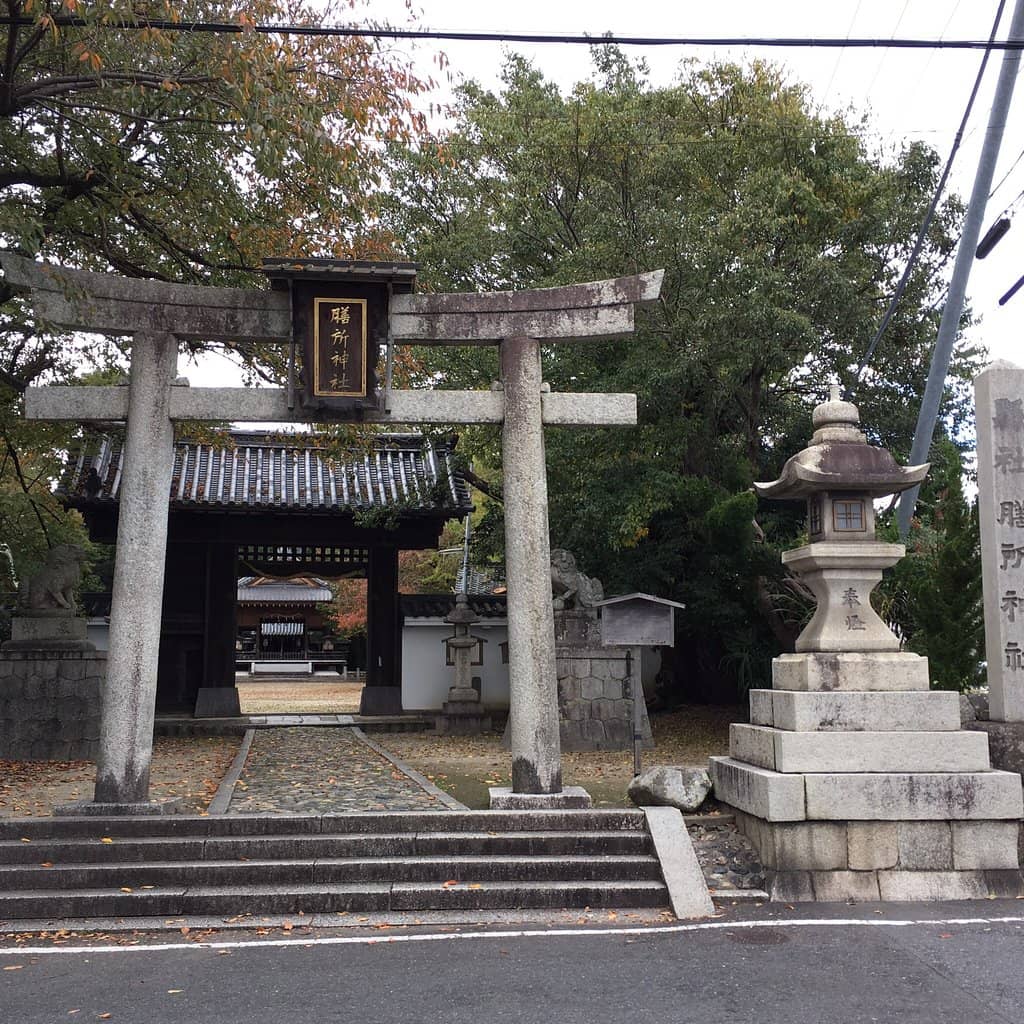 Shrine Grounds Ambiance