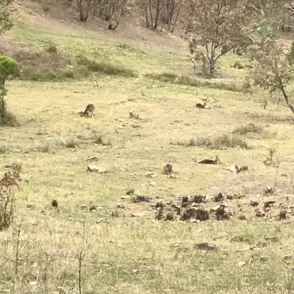 Summit Panoramic Views