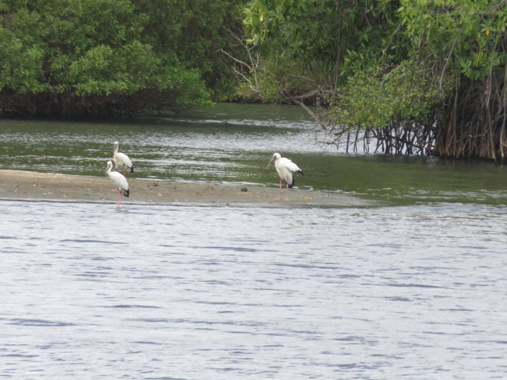 Mawella Lagoon Luxury Raft