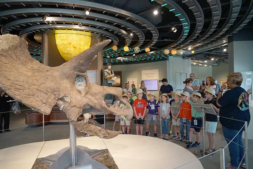Planetarium Shows