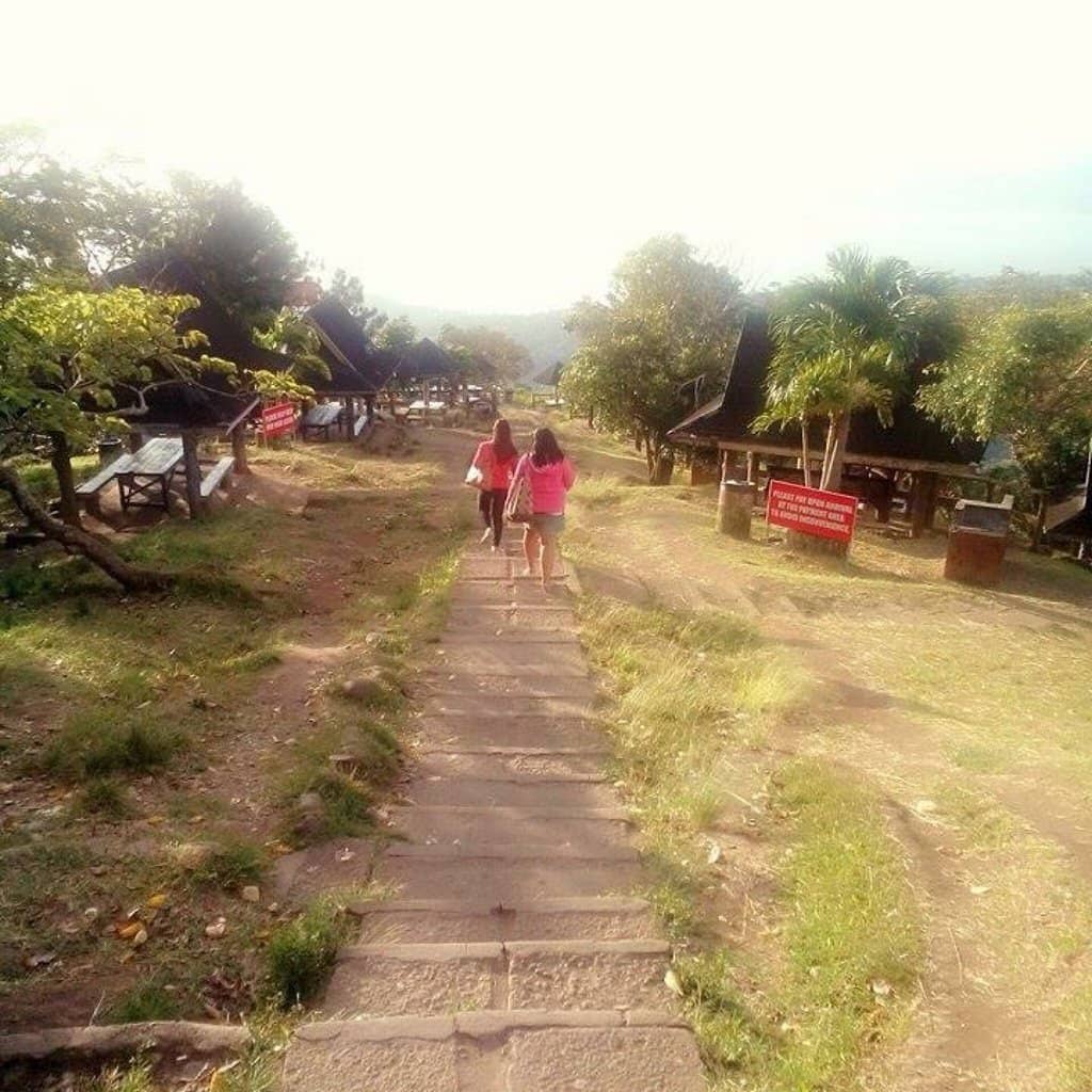 Picnic Perfect Green Spaces