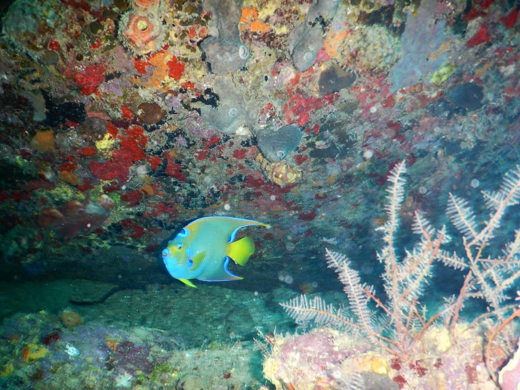 Underwater Exploration