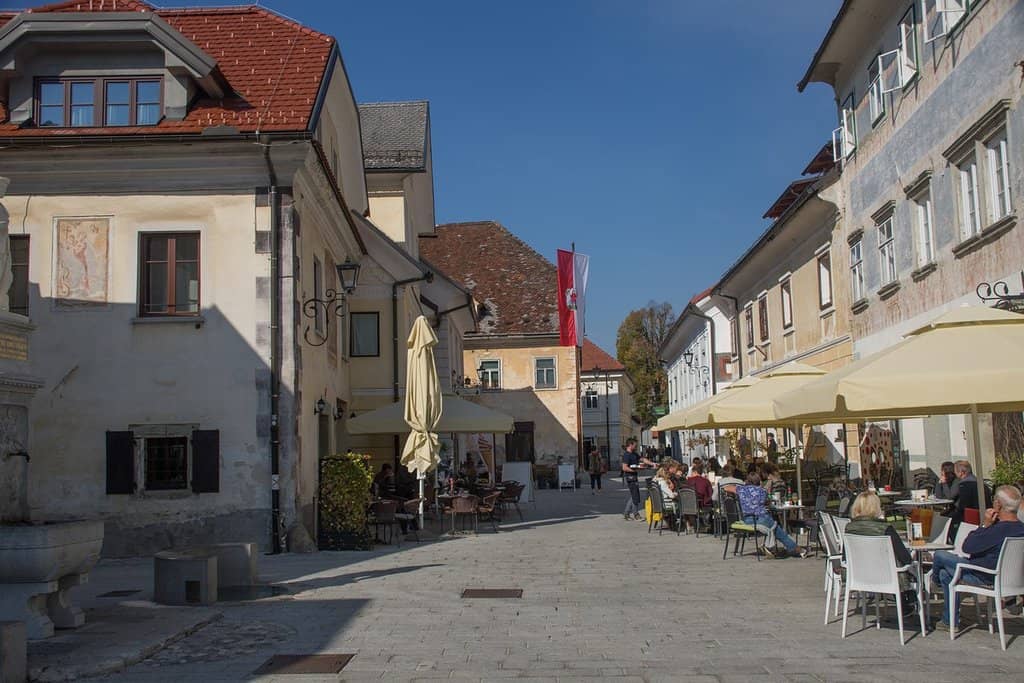Radovljica Manor