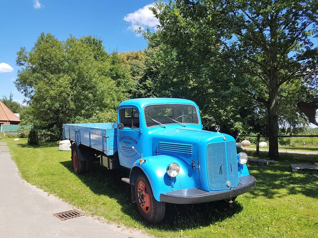 Themed Exhibitions (50s/60s)