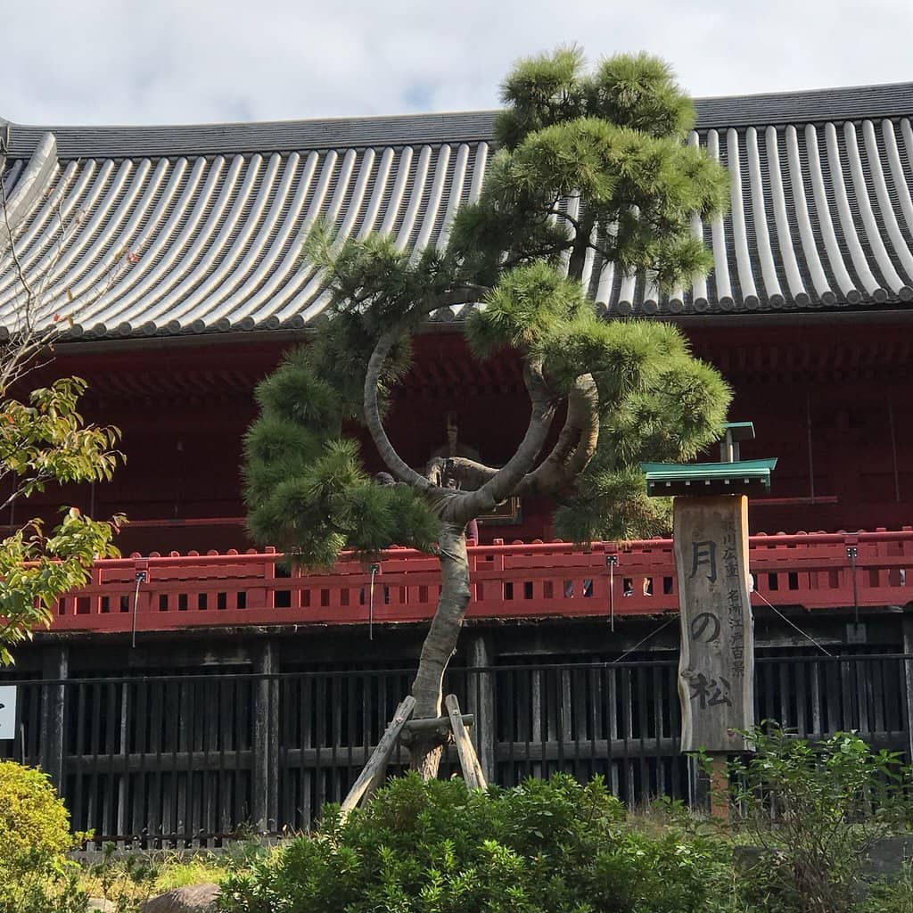 Ueno Park's Oldest Temple