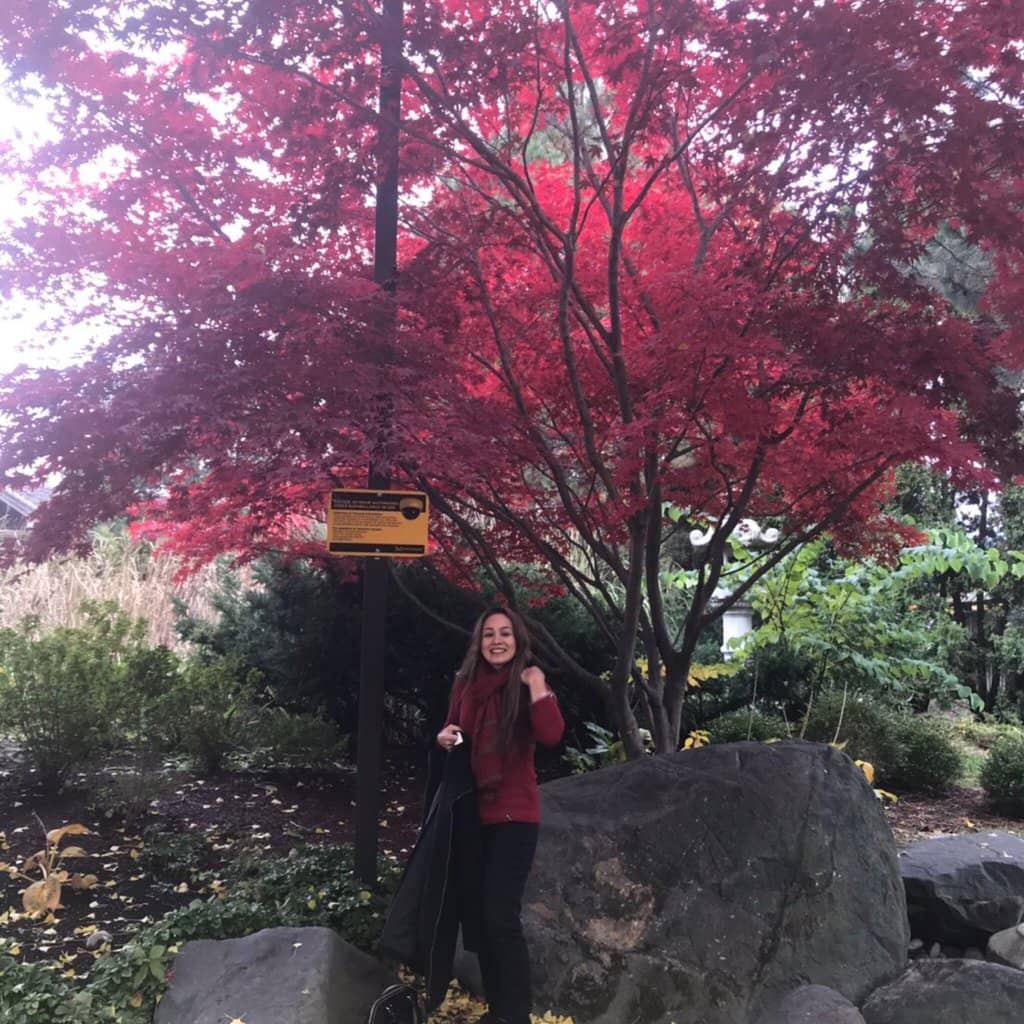 Sawmill Valley Trail