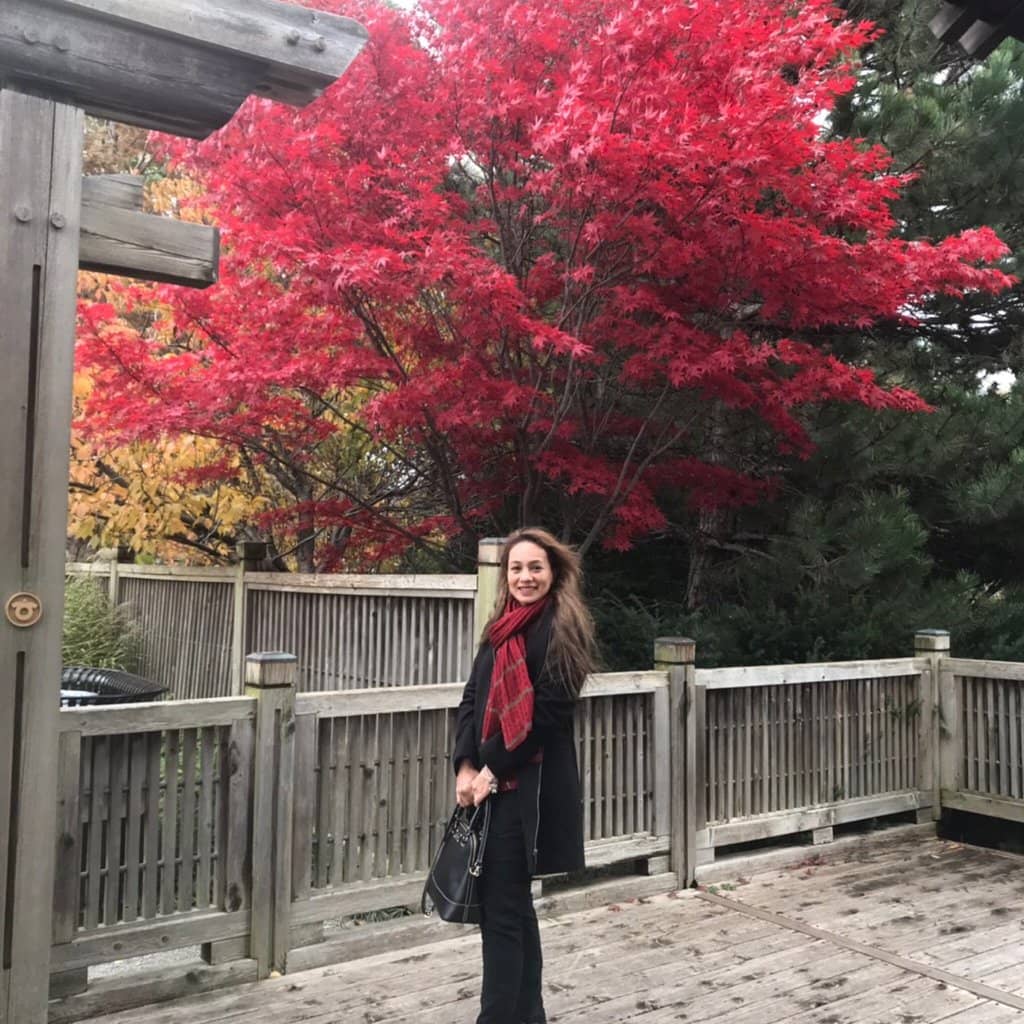 Splash Pad & Playgrounds