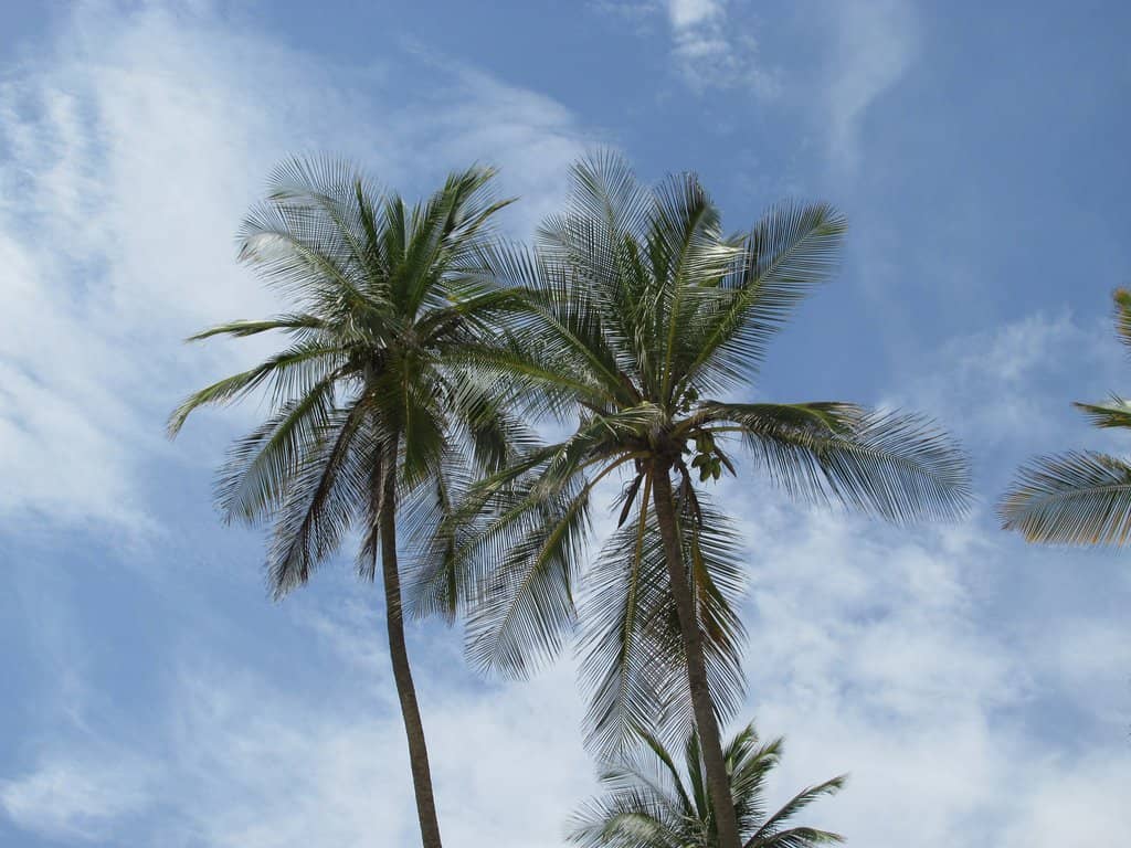 Choroní Village Charm