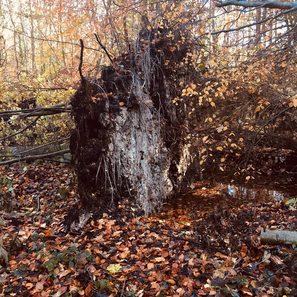 Children's Playground & Fitness Stations