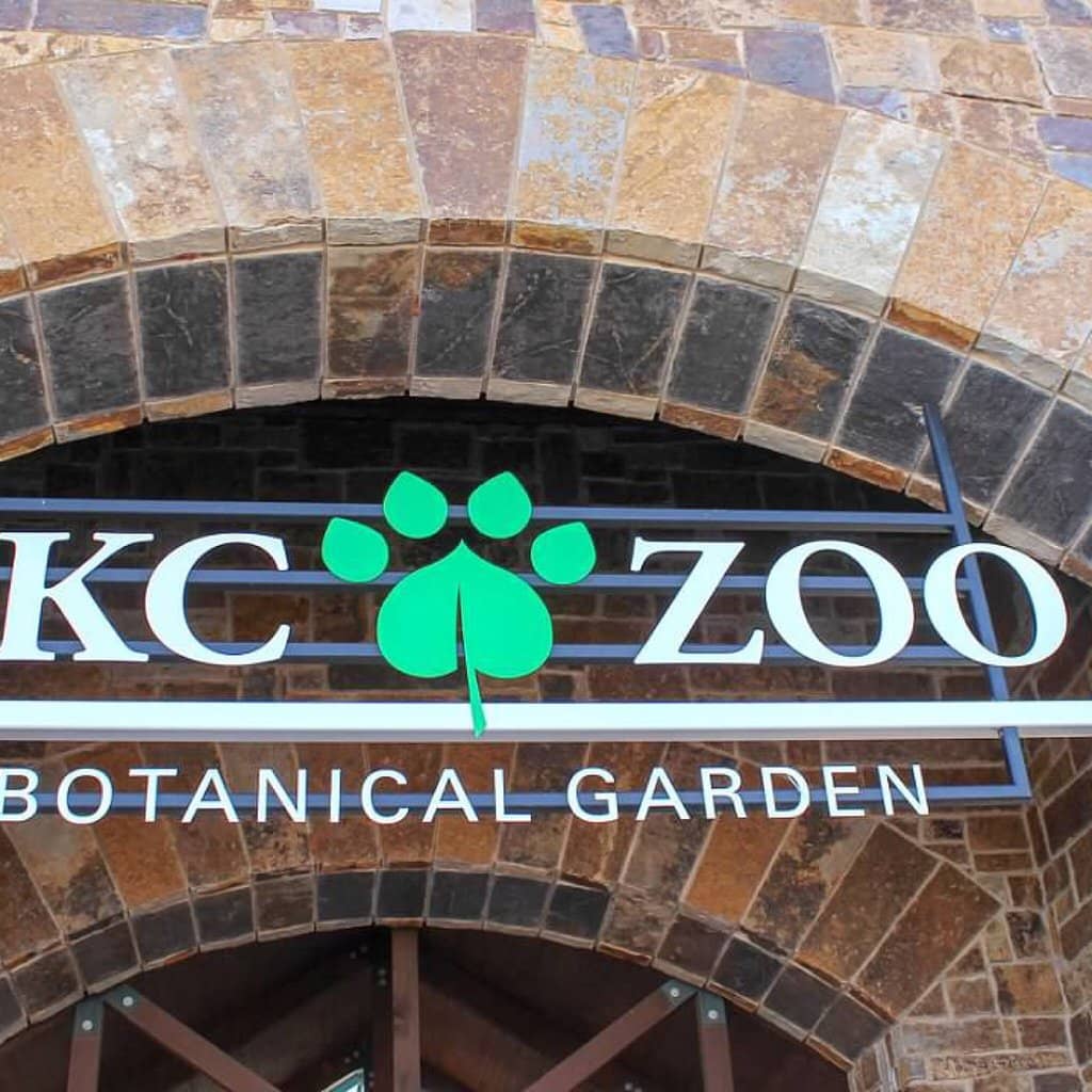 Botanical Garden Blooms