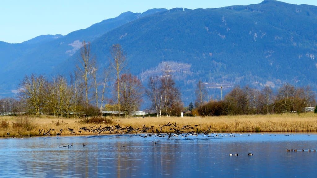 View from the viewing platform