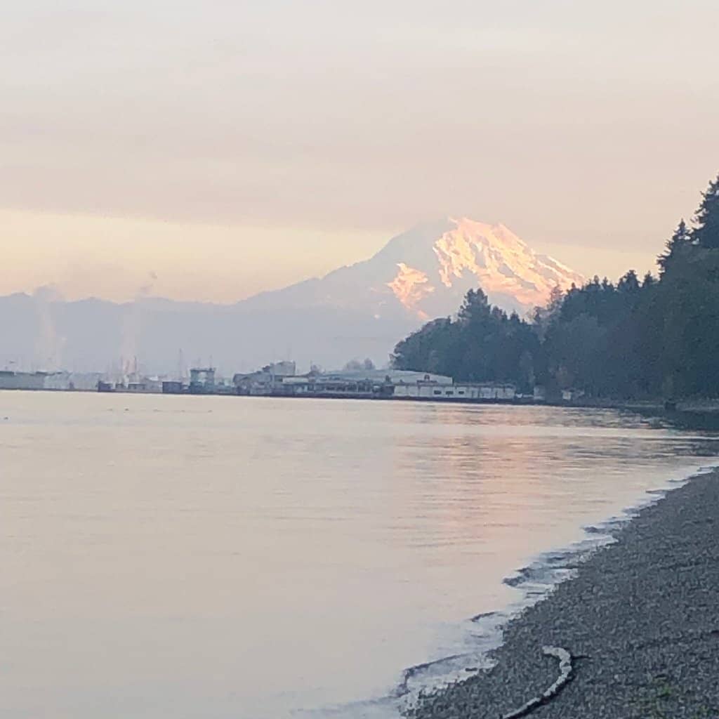Mount Rainier Views