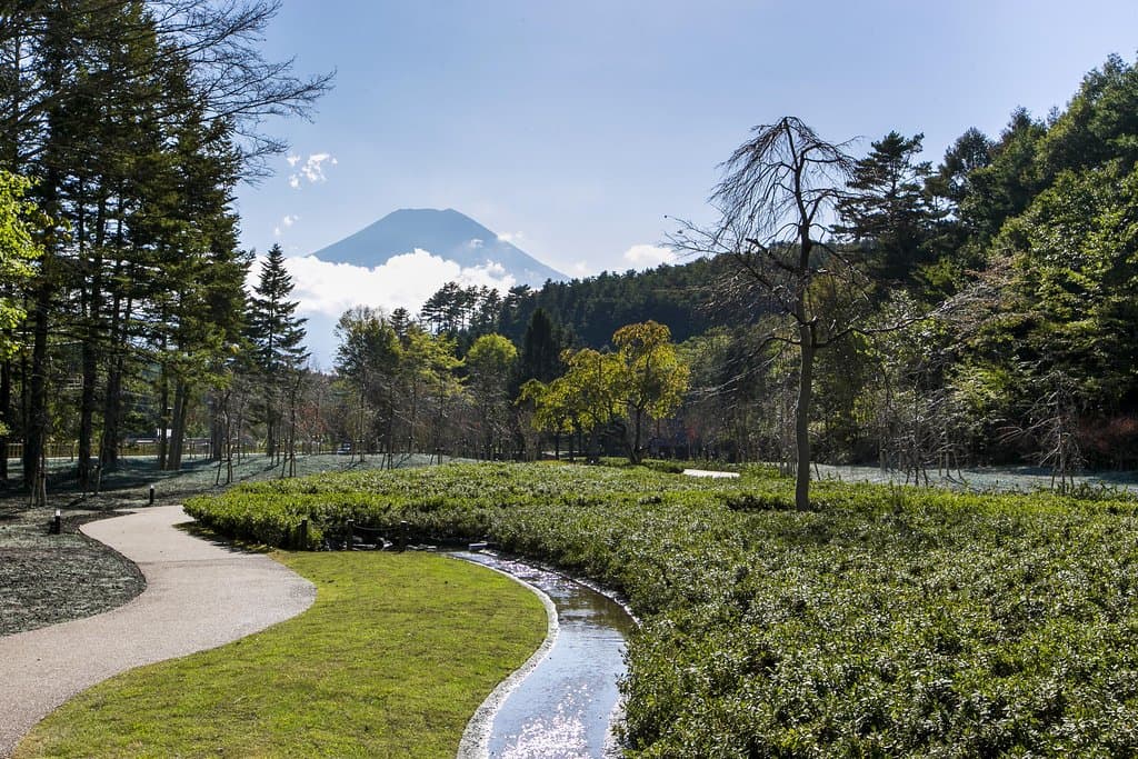 日本庭園からは富士山を望めます