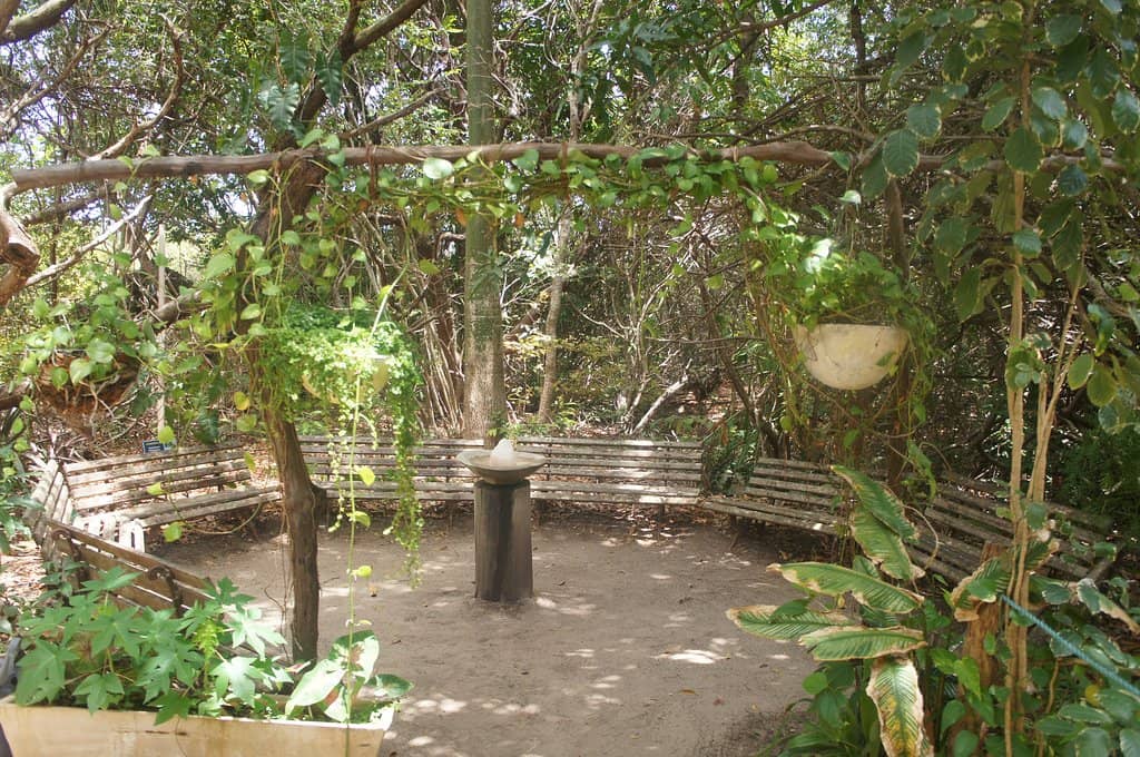 Atlantic Forest Trails