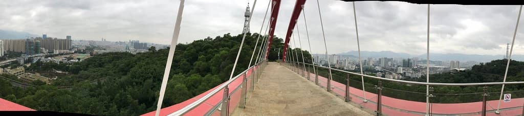 Vertical photo