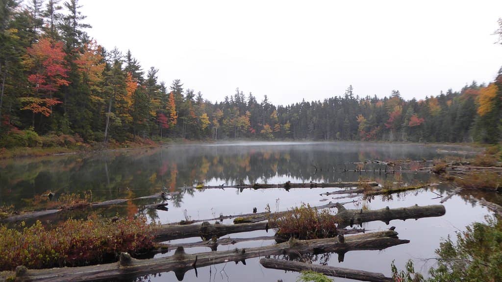 Rocky Gorge Scenic Area