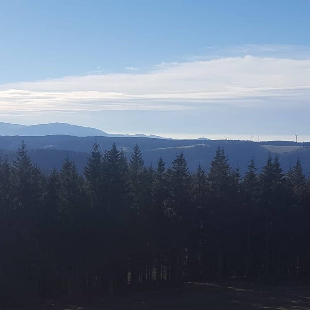 Family-Friendly Hiking Trails