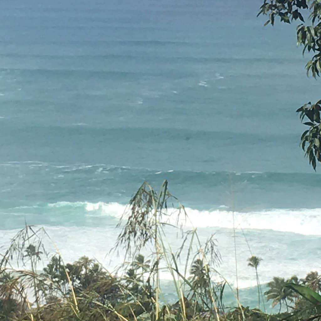 Panoramic North Shore Views