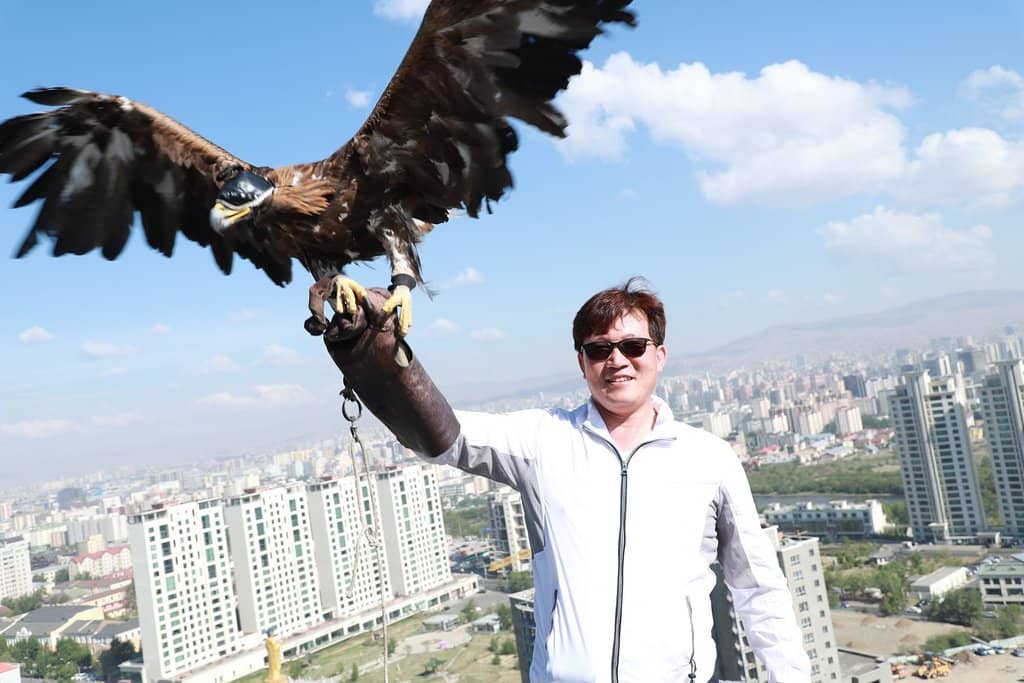 Panoramic City Views