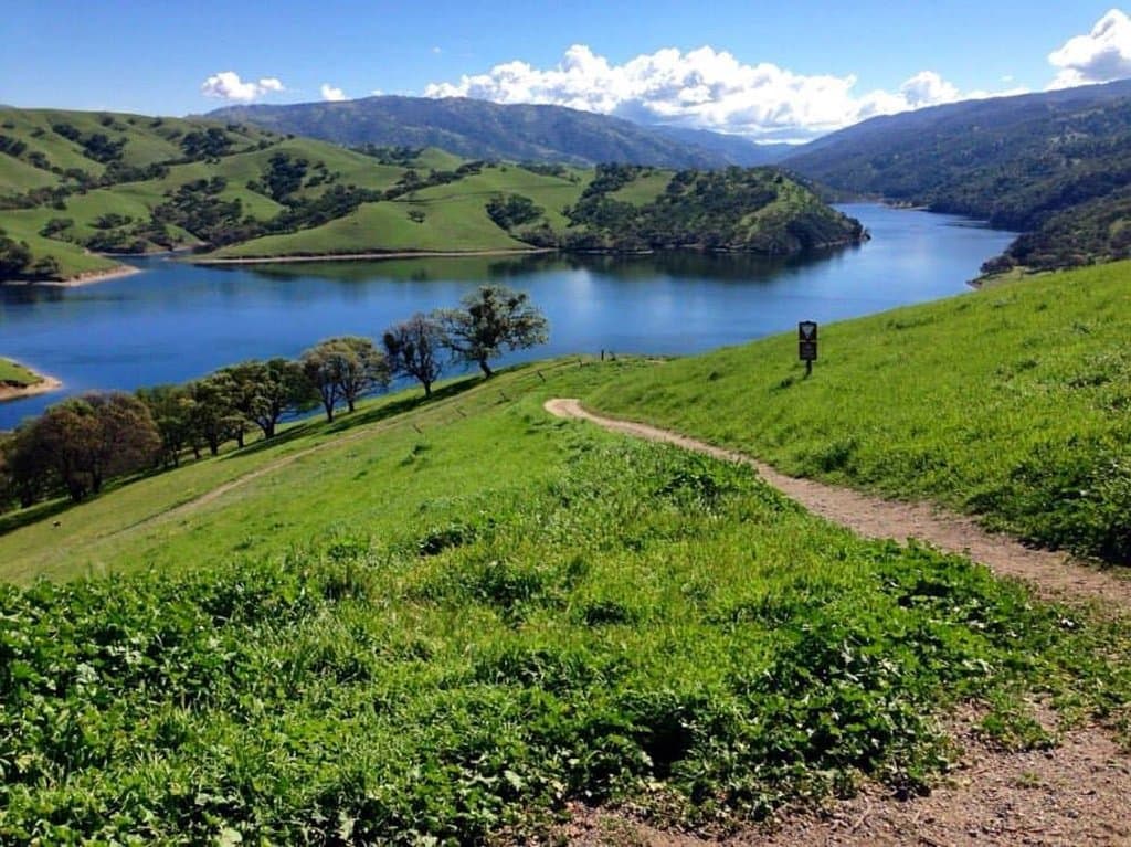Loving these lakeside views! ☀️ Use #VisitTriValley when adventuring in the area for a chance to be featured on our page! 📸: Patricia S. — at Del Valle Regional Park.