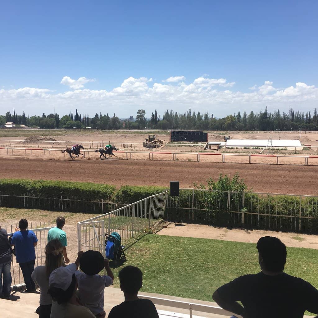 Thrilling Horse Races