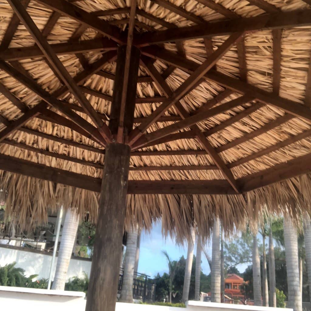 Crystal-Clear Freshwater Pool