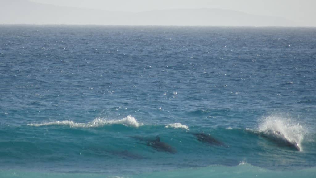 Clothing-Optional Section