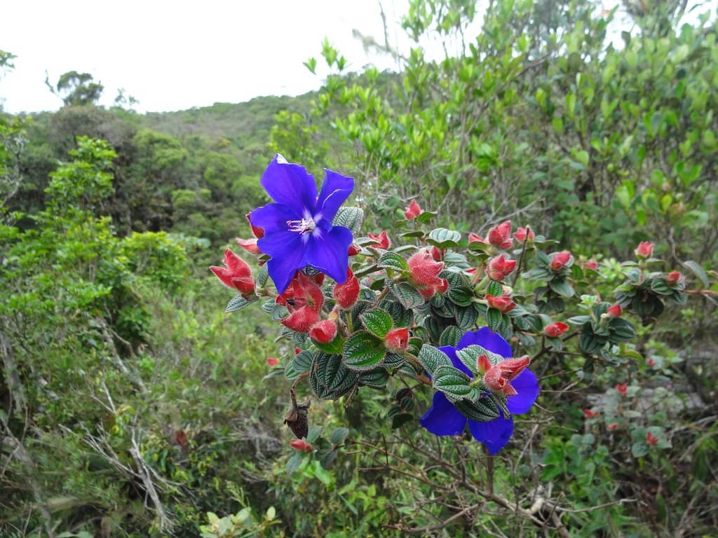 Vila de Conceição do Ibitipoca