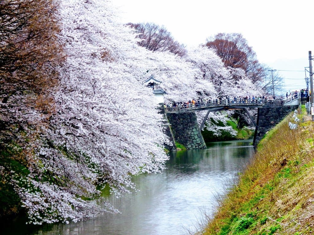 Moat 1