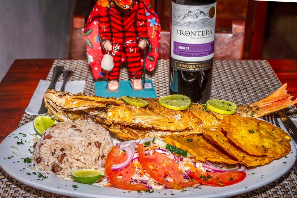 Authentic Panamanian Cuisine