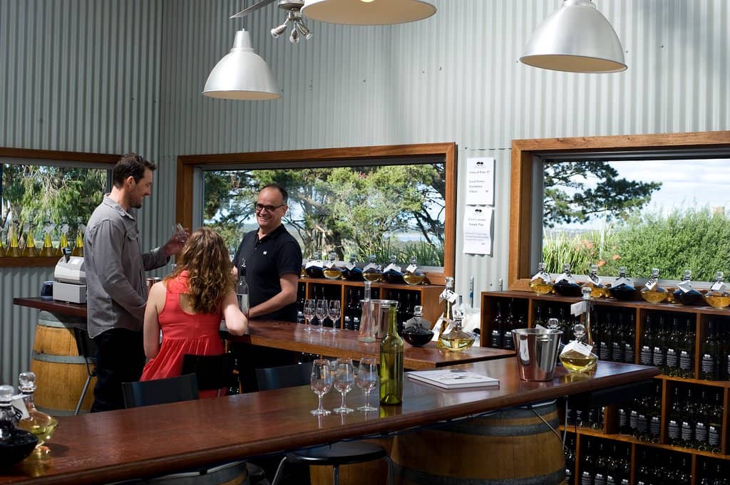 Scenic Vineyard Views