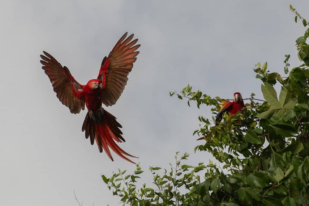 The Whale's Tail Sandbar