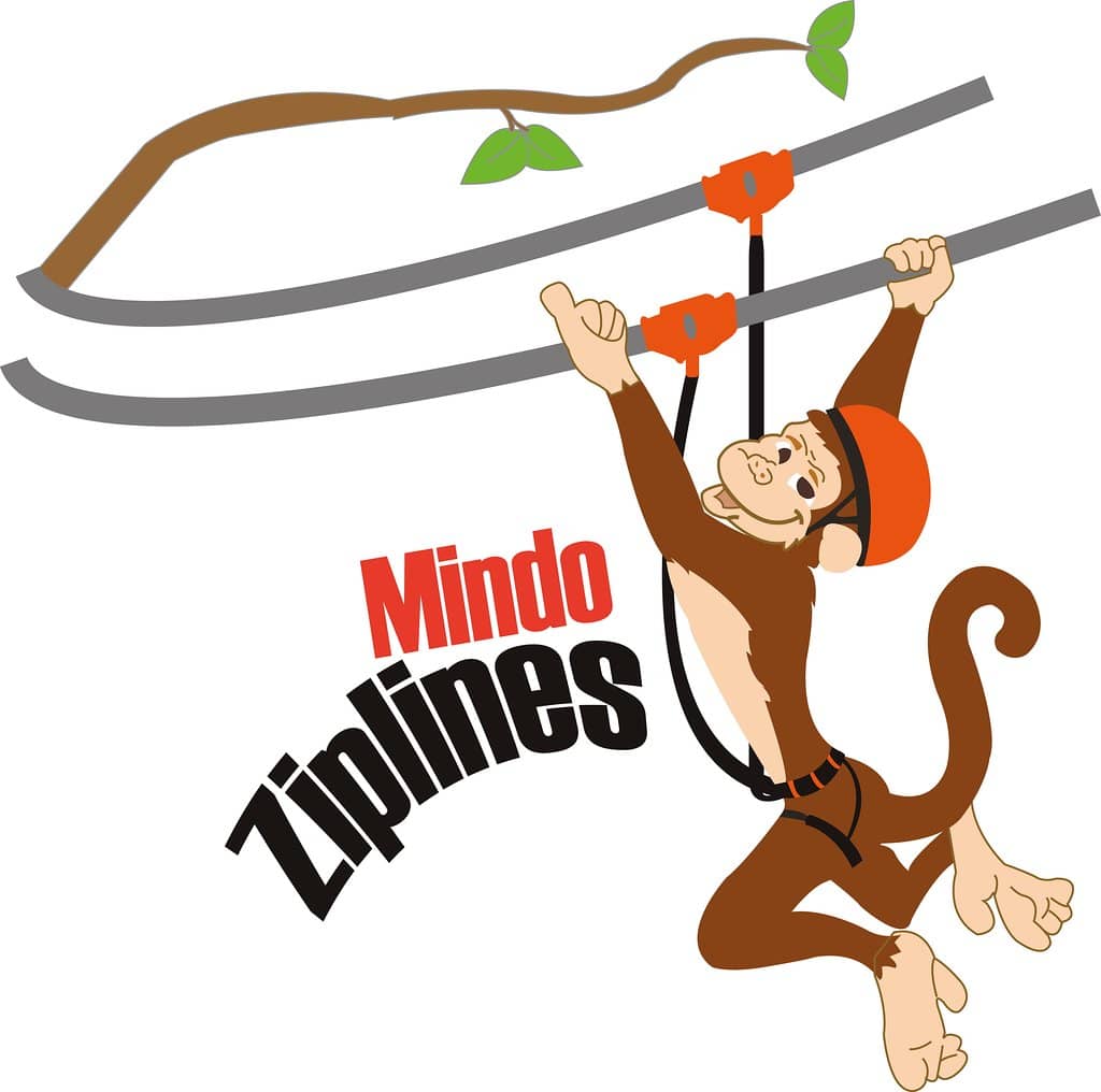 Tarzan Swing Thrills