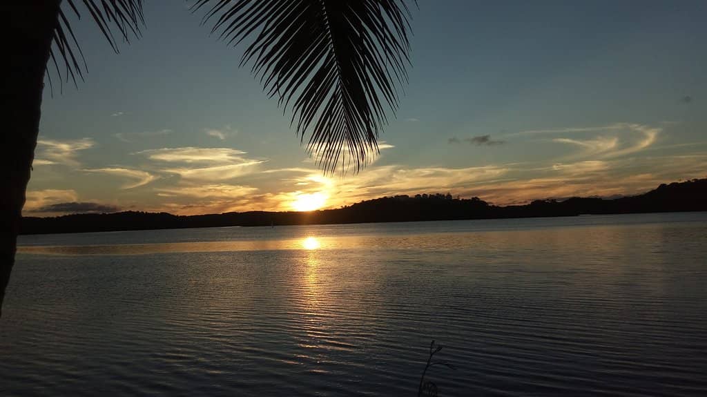 Family-Friendly Picnic Spot
