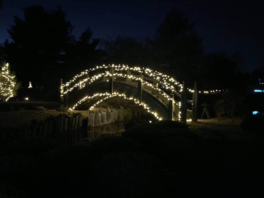 Koi Lake