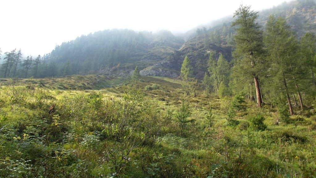 Scenic Lakeside Hike