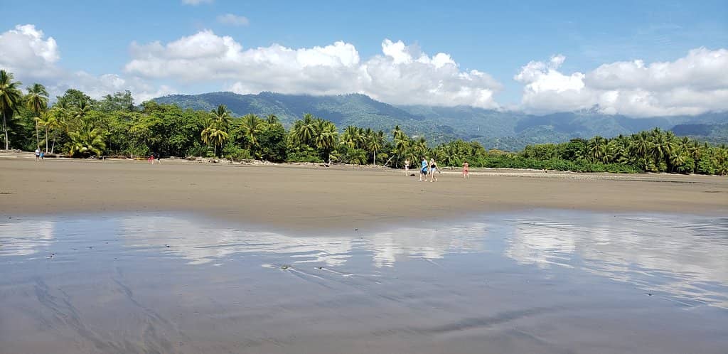 Whale and Dolphin Watching Tours