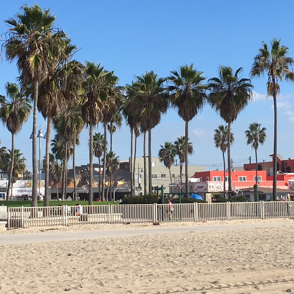 Muscle Beach Venice