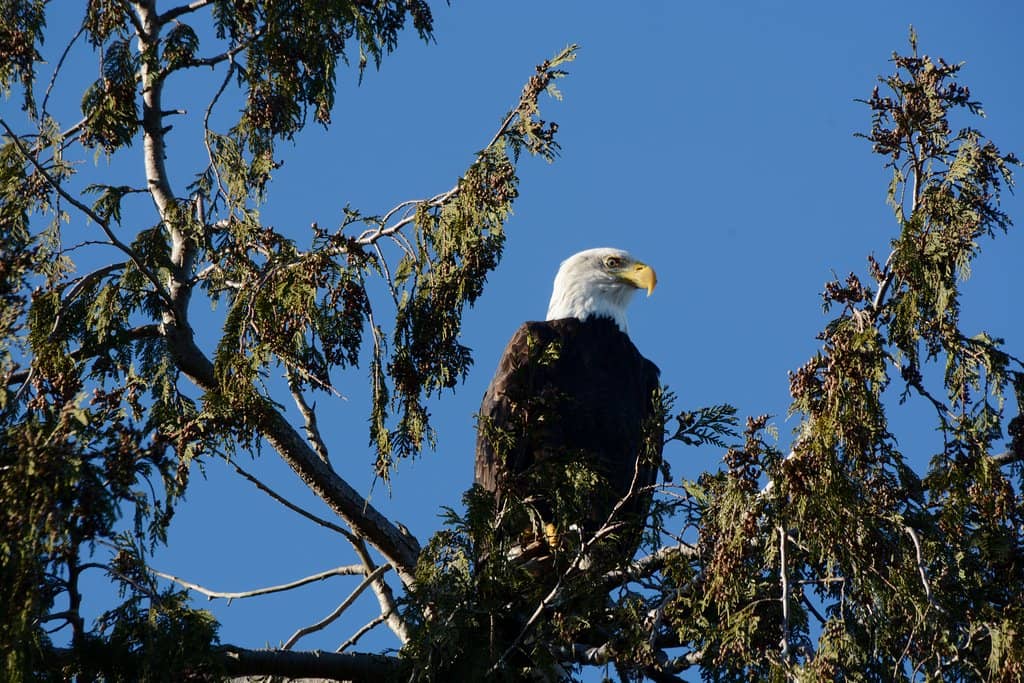 Expansive Sand Flats
