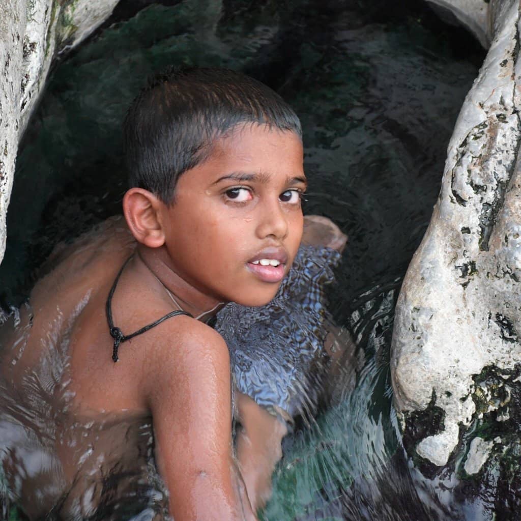 The Fort's Architecture