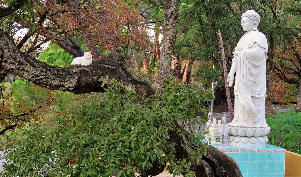 Vietnamese-French Hospitality