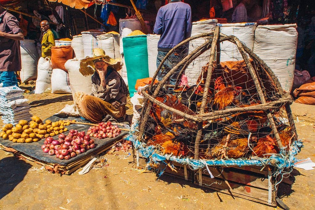 Layered Juices (Pris)