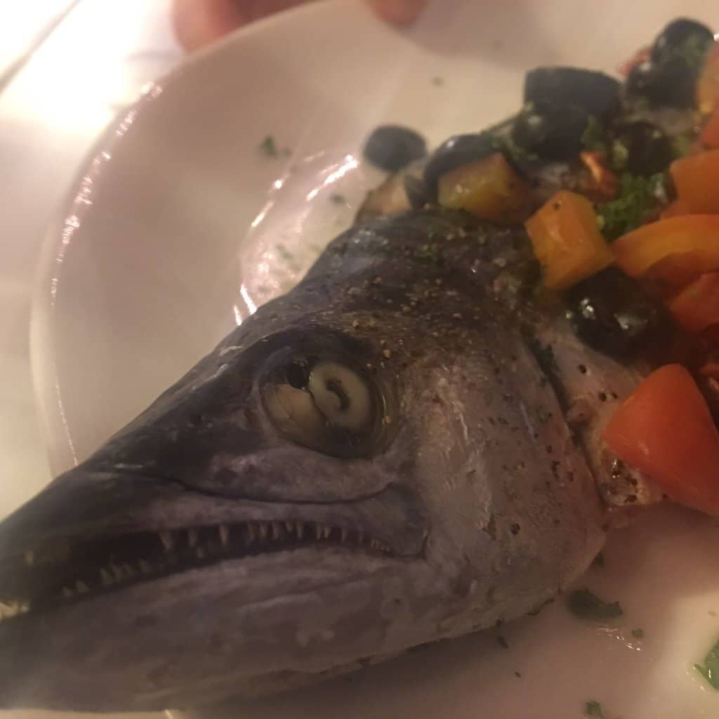 Isla Saona Excursion