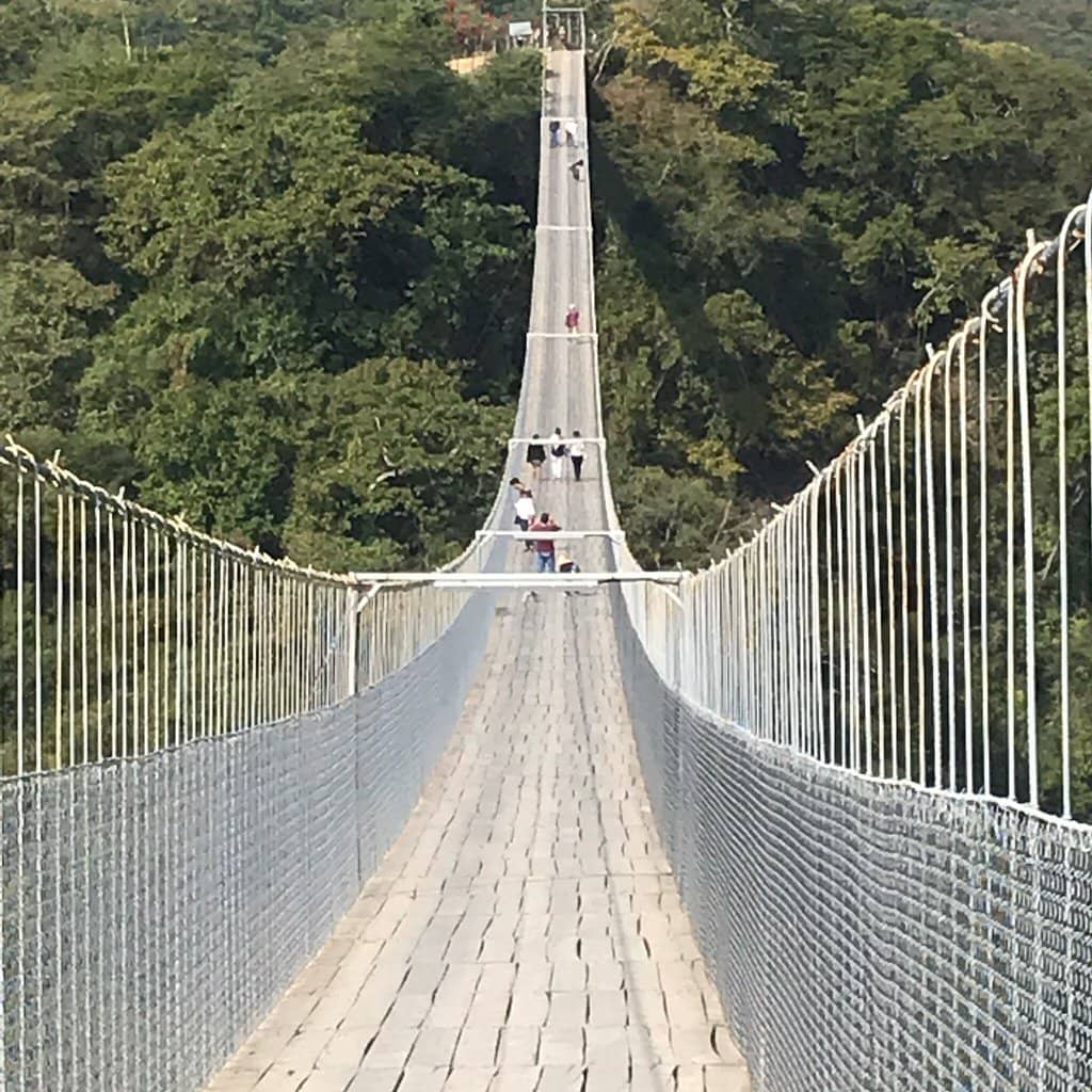 Vertical photo