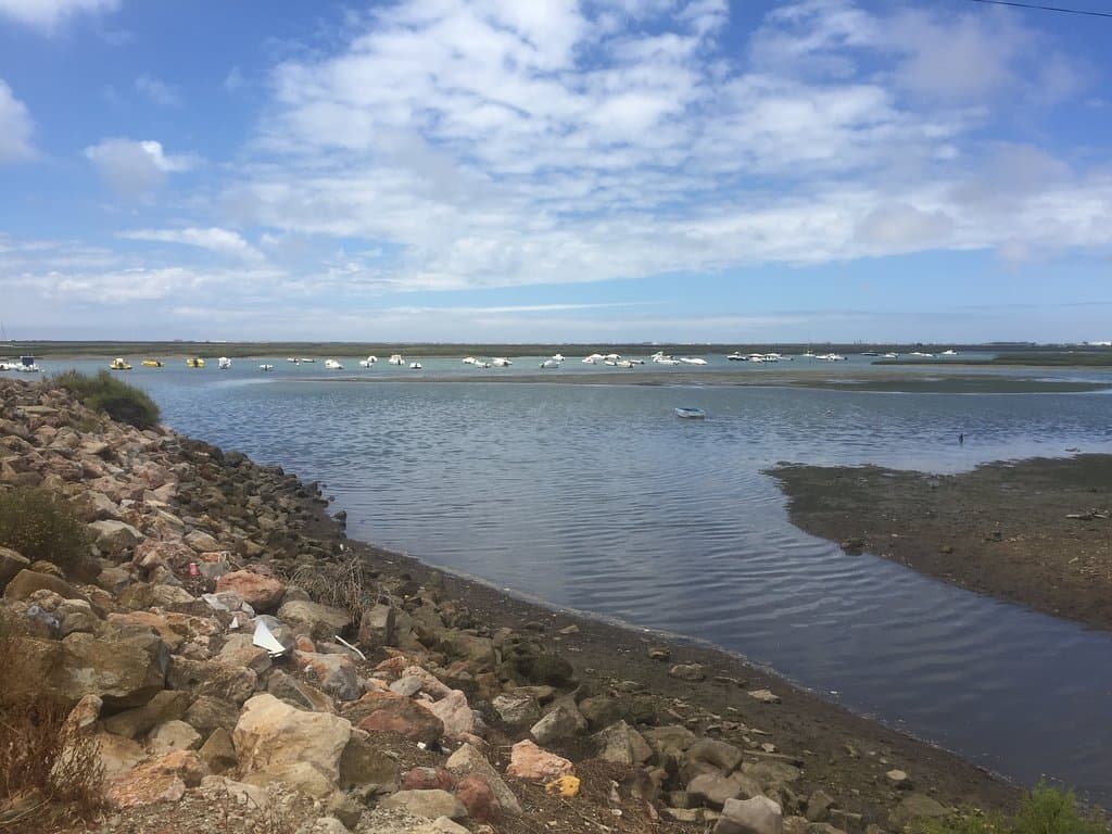 Pick your litter up people!