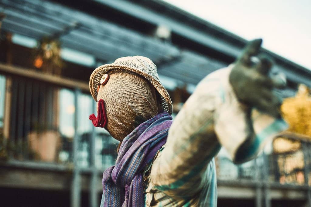 Baby Lamb Encounters