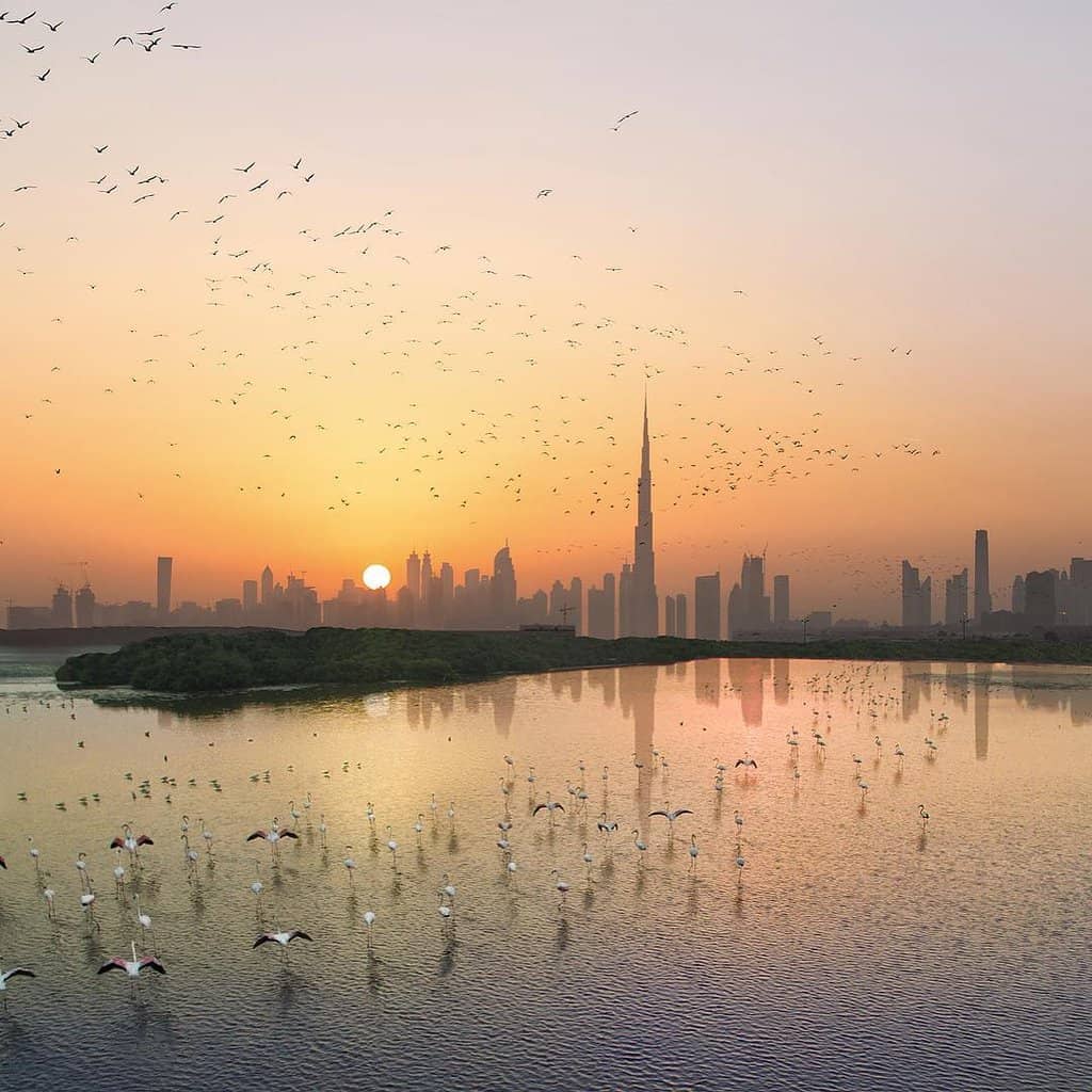 Birdwatching Opportunities