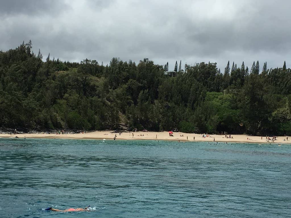 World-Class Surfing Waves