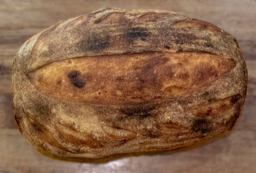 Monica's Signature Cornbread