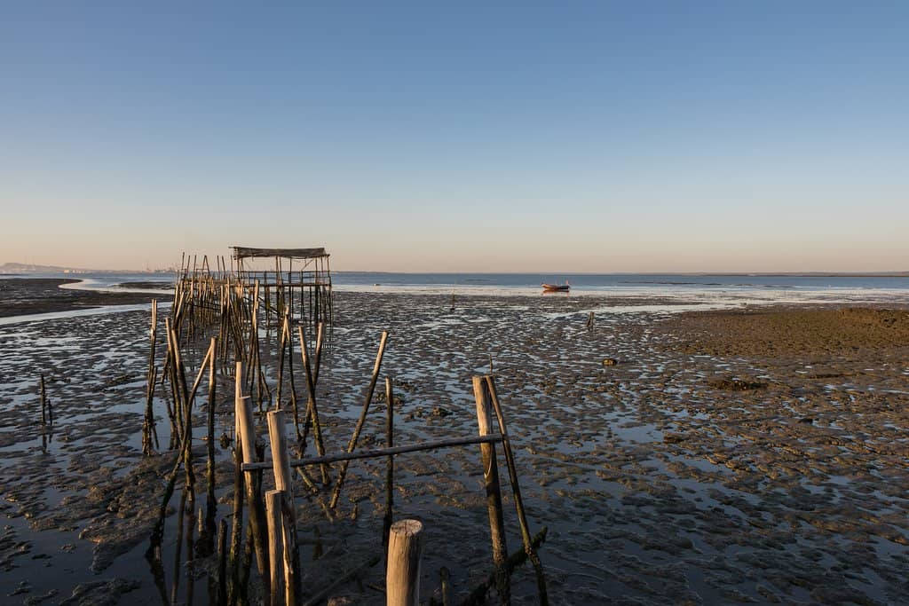 Local Fishermen's Hub